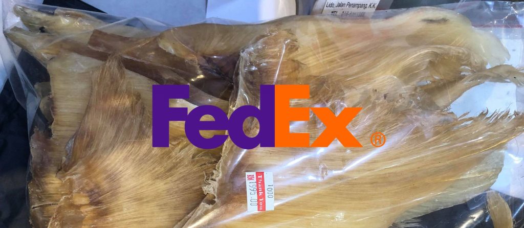 Shark-Fins-Sabah Fedex