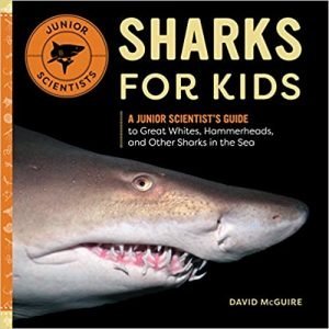 Shark Fin FAQs – Shark Stewards