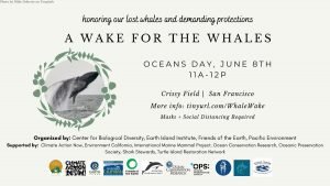 Wake for whales