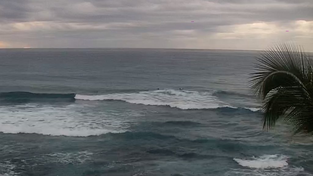 Shark Attacks Surfer Off Hawaii