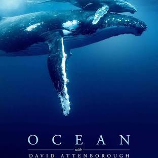Ocean poster