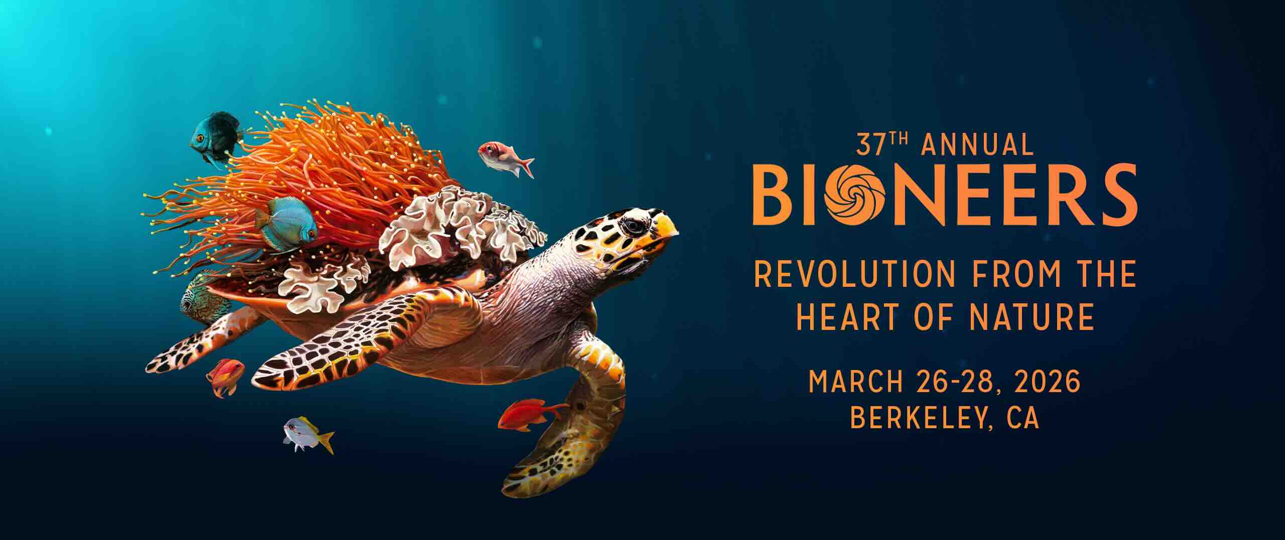 2026 Bioneers homepage banner Sea Turtle and life