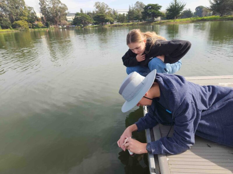 Hailin and Katya sampling