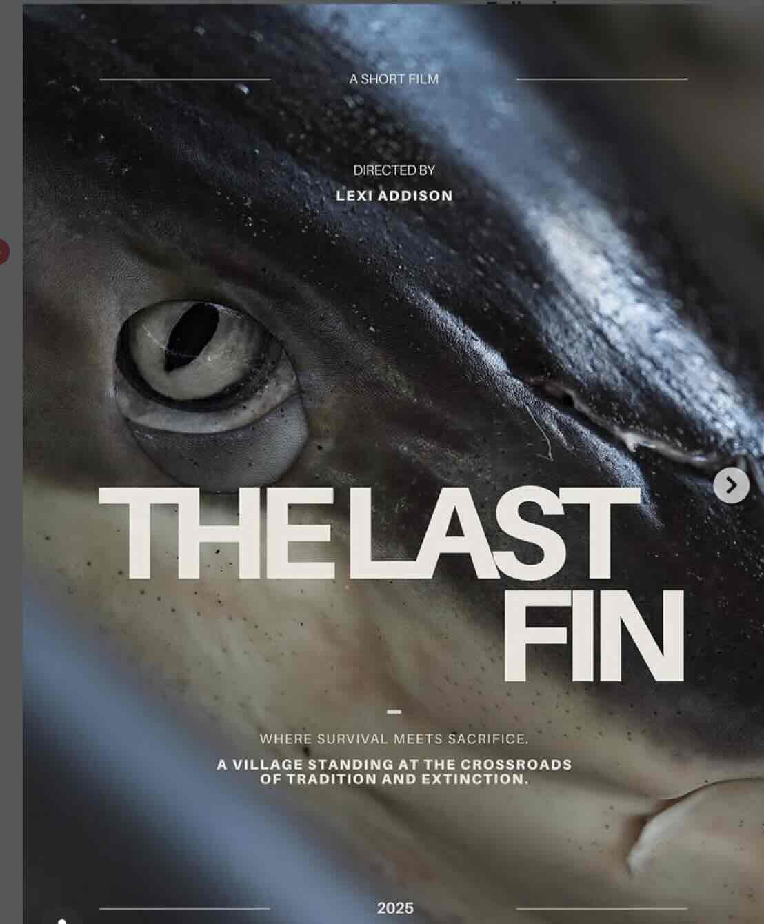 Movie Poster Shark