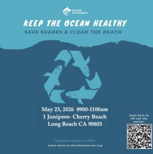 chasing sharks cleanup poster