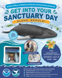 Whale fest poster