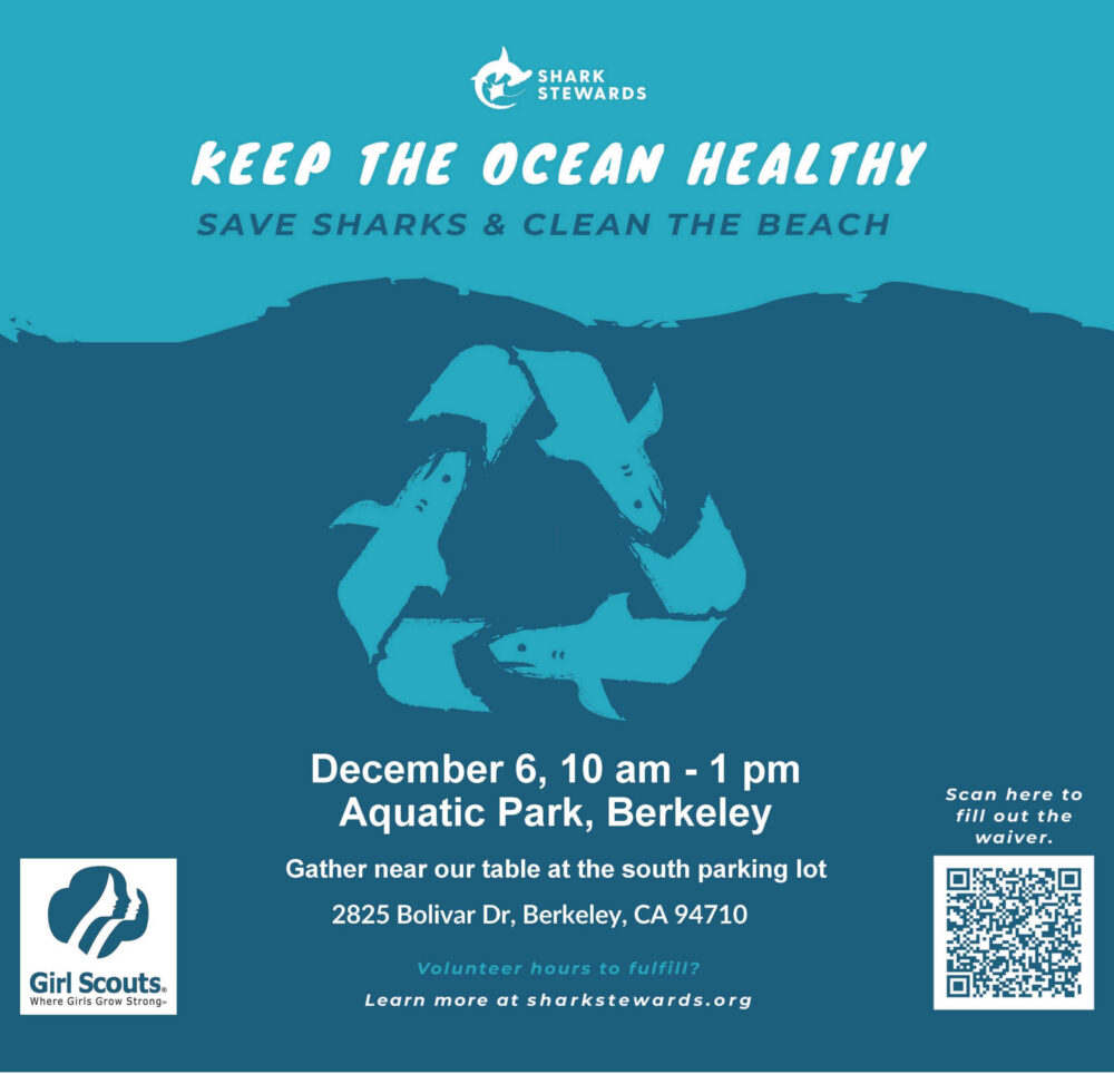 Dec 6 Cleanup