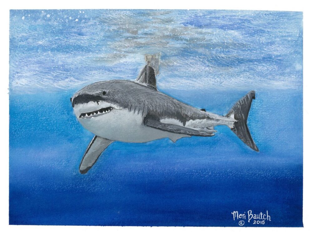 GREAT WHITE