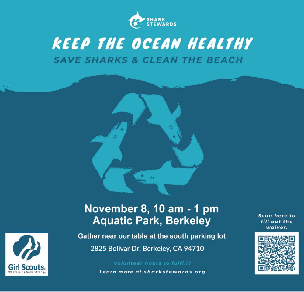 Nov 8 Cleanup